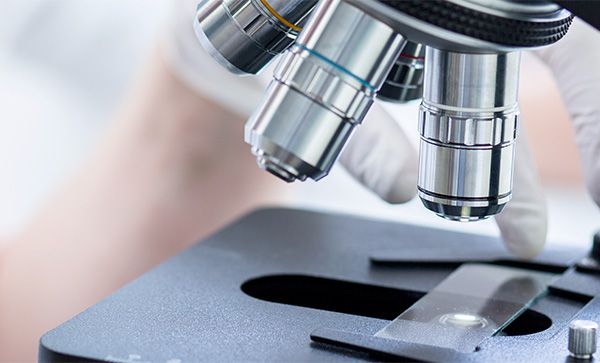 PT电子·官网详解显微镜通常问题的解决方案